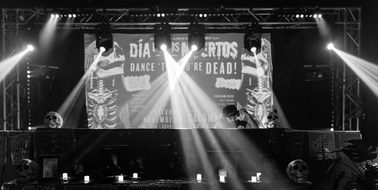 Locally Grown Festival 2025: A Grassroots Celebration of DMV Music & Art